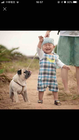 提供發音庫服務的專家Dora Chen