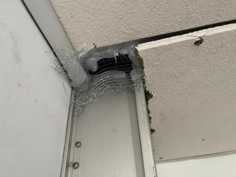 嘉澤滅鼠封堵防治工程 - 鼠網 嘉澤滅鼠封堵防治工程 - 鼠網