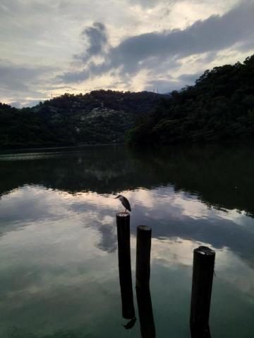 黃奕瑞 - 風景攝影