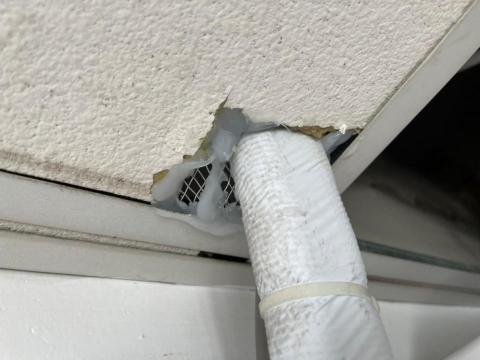 嘉澤滅鼠封堵防治工程 - 鼠網封堵 嘉澤滅鼠封堵防治工程 - 鼠網封堵