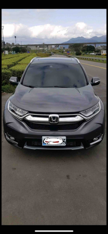 提供餐點服務的專家AMOS