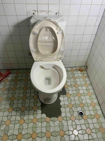 陳凱倫 - 馬桶改管+透氣施工