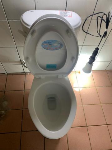 陳凱倫 - 馬桶安裝