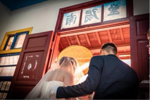 攝相豬 -  攝相豬 -