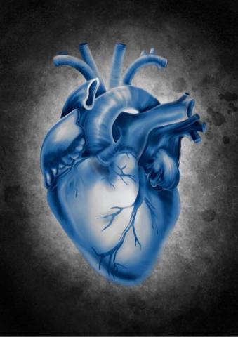 AVERY設計 - 電繪