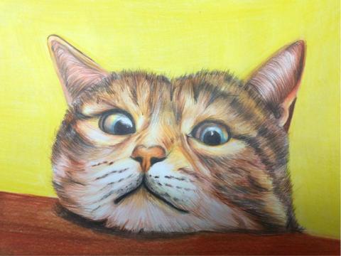 AVERY設計 - 色鉛筆動物