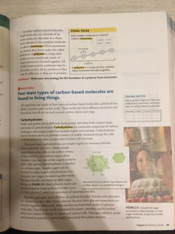 藍天 英語 - 這是我教授美國高中生物教課書