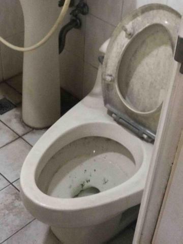 絜心清潔工作室 - 