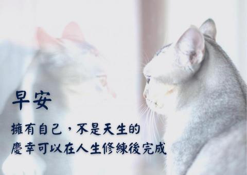 瀟瀾 - 問候圖設計