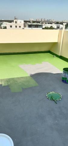 阿興（泥作#油漆#拆除） - 鐵皮屋頂防水粉刷油漆