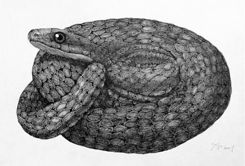 關於藝術與設計｜about art & design - 