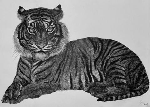 關於藝術與設計｜about art & design - 虎年