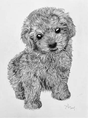 關於藝術與設計｜about art & design - 藝術創作