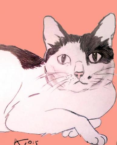 Aliviya - 手繪與數位媒材插圖