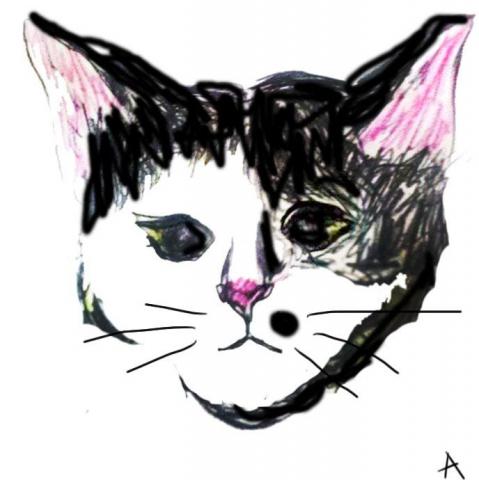 Aliviya - 手繪與數位媒材插圖