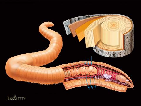 Midoli 藝創中心 - 
