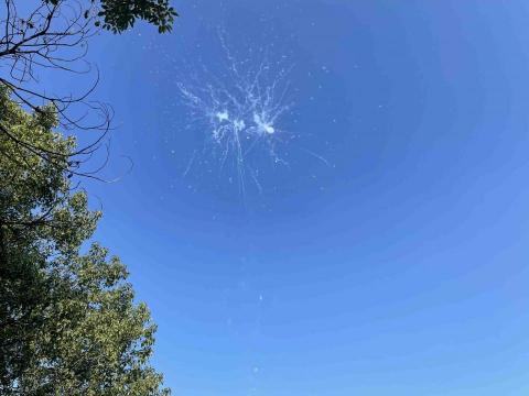 提供吳曉琪服務的專家董之琪