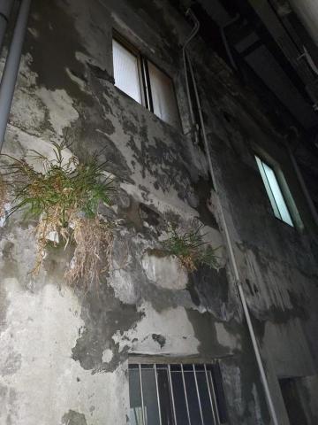 黃建翔 - 房屋外牆修繕