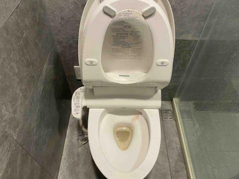 董家瑋 - 馬桶（打掃前）