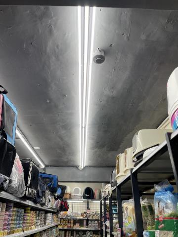 新亨照明 - 寵物店主照明安裝 新亨照明 - 寵物店主照明安裝