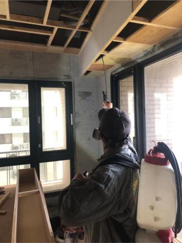 討唐除蟲 - 裝潢柳安基材白蟻防治