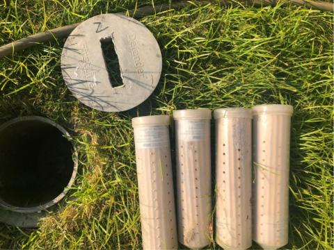 討唐除蟲 - 土棲型白蟻偵測站