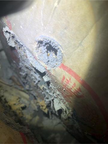 討唐除蟲 - 白蟻咬紙箱