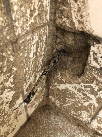 討唐除蟲 - 白蟻電器孔入侵