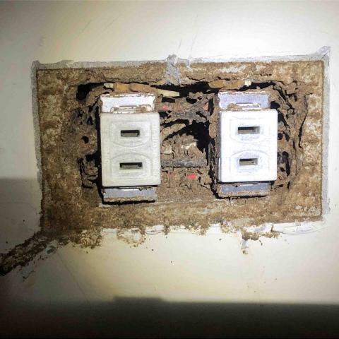 討唐除蟲 - 白蟻入侵電器孔