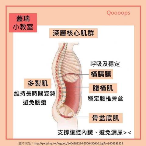 辛蒂 - 關於腹肌