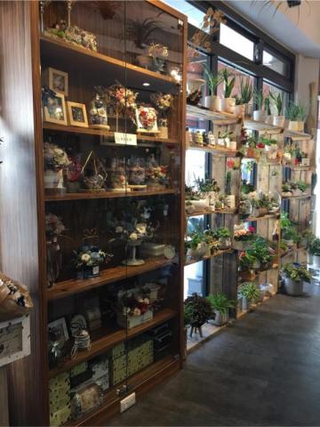 勝薪室內裝修&middot;設計 - 