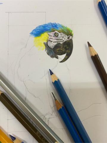 妘林設計 - 色鉛筆