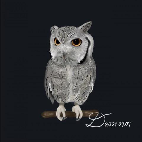 Danika（達妮卡） - 