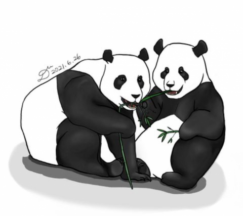 Danika（達妮卡） - 