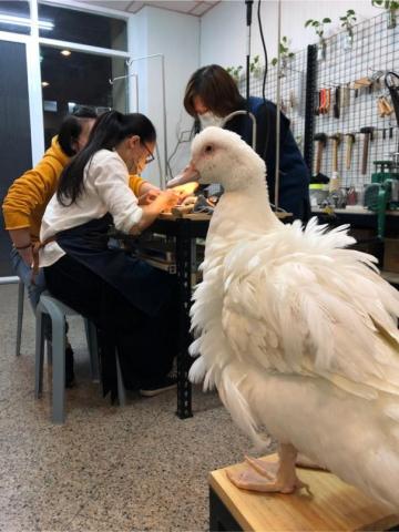 蔦空間 繪畫 金工教室 鍾老師 - 金工體驗活動