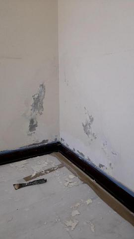 西瓜潘 -  西瓜潘 -