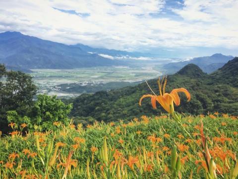 SAYA SOHO - 風景畫面修改
個人作品