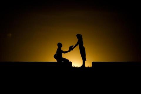 Flügel photography - 