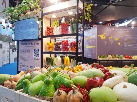 SMILE Image Studio - 活動紀錄拍攝