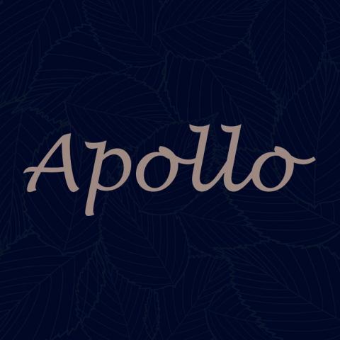 阿波羅製作 - 這為自己的logo封面
質感為主