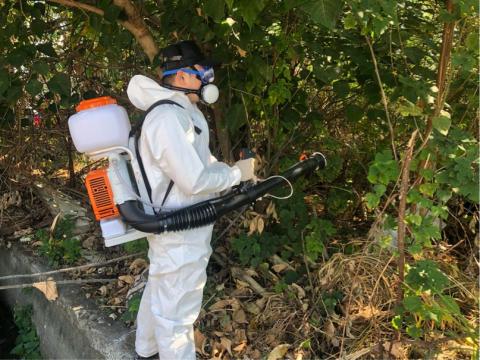 討唐除蟲 - 戶外灌木叢蟲害防治