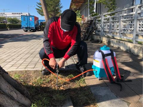 討唐除蟲 - 土木棲性白蟻防治