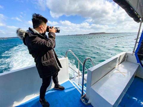 Kelvin 國際萬事通 - 