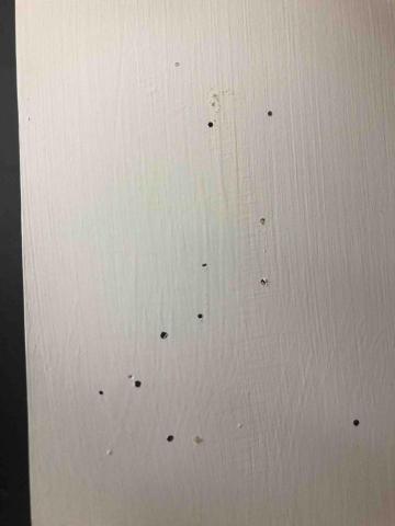 討唐除蟲 - 蛀蟲洞