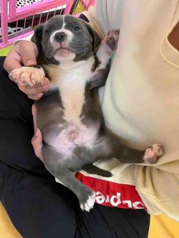 熊子兵國際貿易有限公司 - 