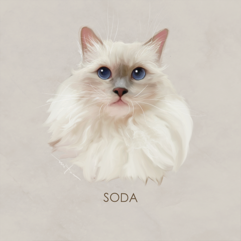 Animal Lab - 動物寫實畫風