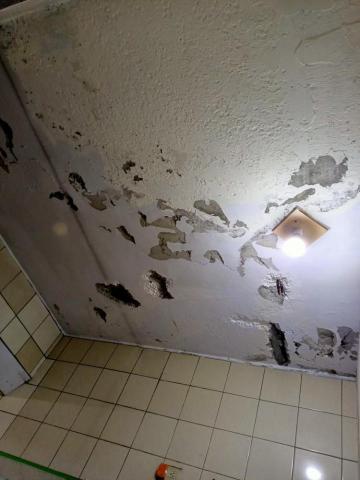 佳適美油漆工程行 - 天花板嚴重壁癌