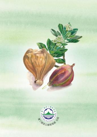 多夢龍創作工作室 - 此圖和照片去背合成加寫實水彩物件插畫兩張，費用2000