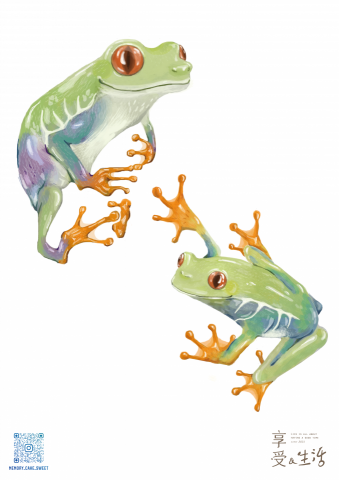 C1T_STUDIO - C1T插畫作品集
設計:C1T STUDIO C1T_STUDIO - C1T插畫作品集
設計:C1T STUDIO