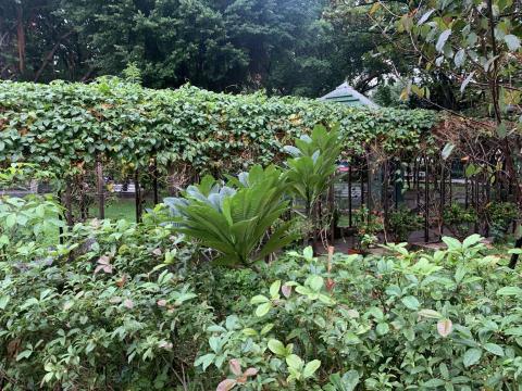 安捷稅務會計記帳士事務所 - 